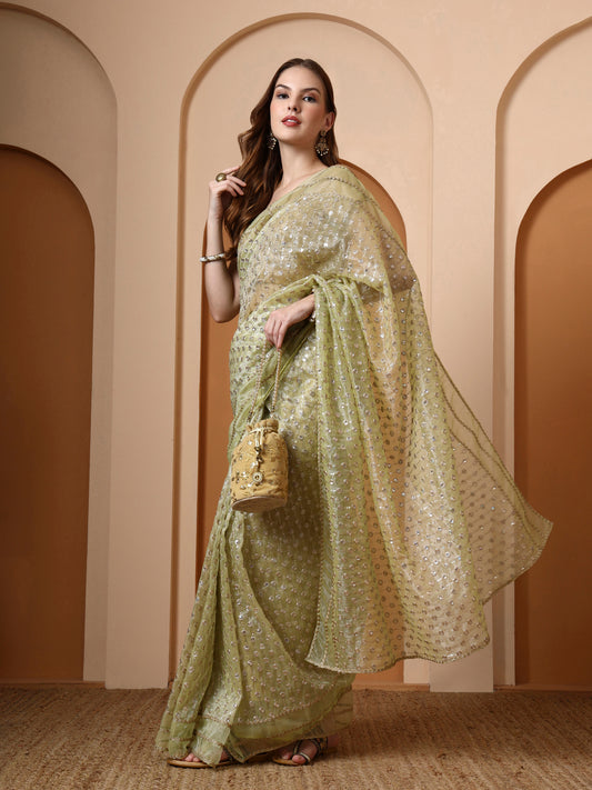 Pista Embroidered Silk Saree